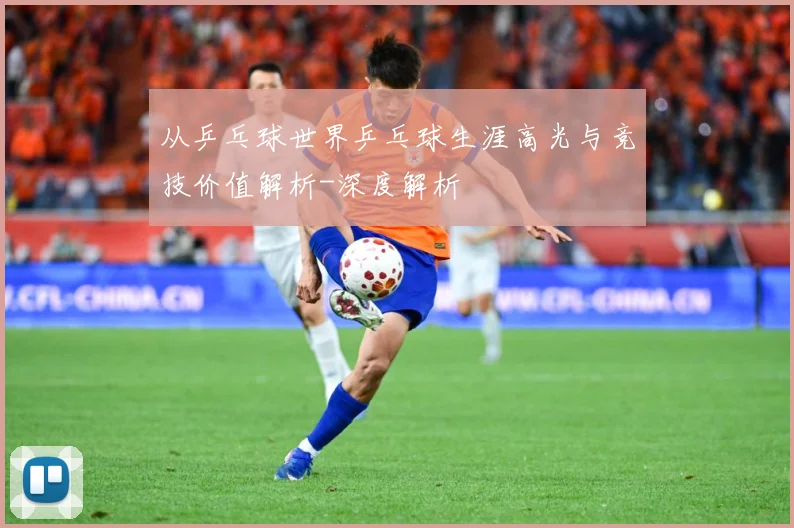 从乒乓球世界乒乓球生涯高光与竞技价值解析-深度解析