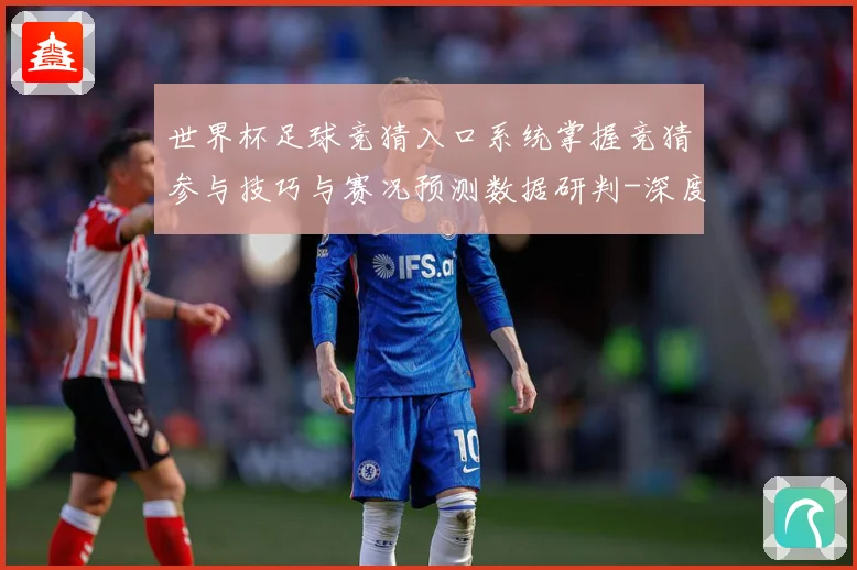 世界杯足球竞猜入口系统掌握竞猜参与技巧与赛况预测数据研判-深度解析